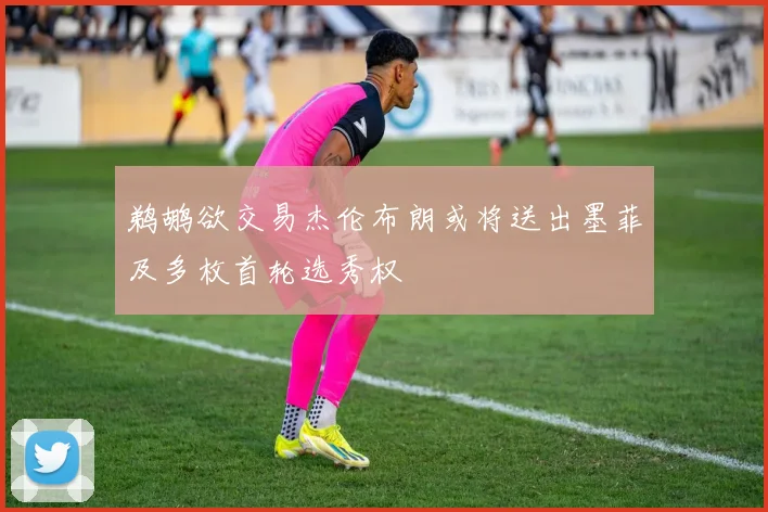 鹈鹕欲交易杰伦布朗或将送出墨菲及多枚首轮选秀权