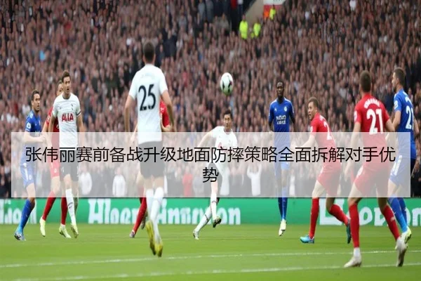 张伟丽赛前备战升级地面防摔策略全面拆解对手优势 - hthsports